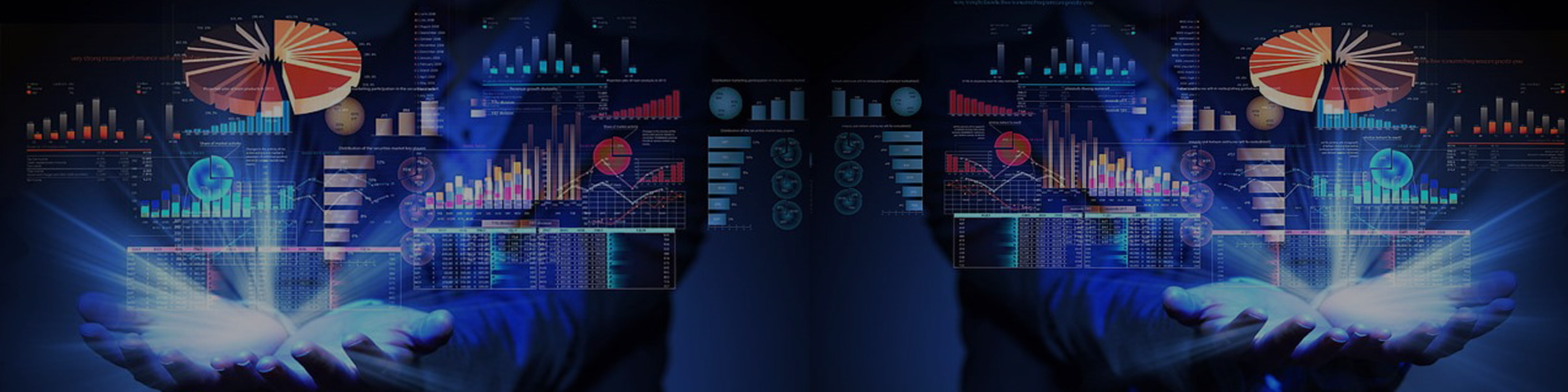 Data Analyst