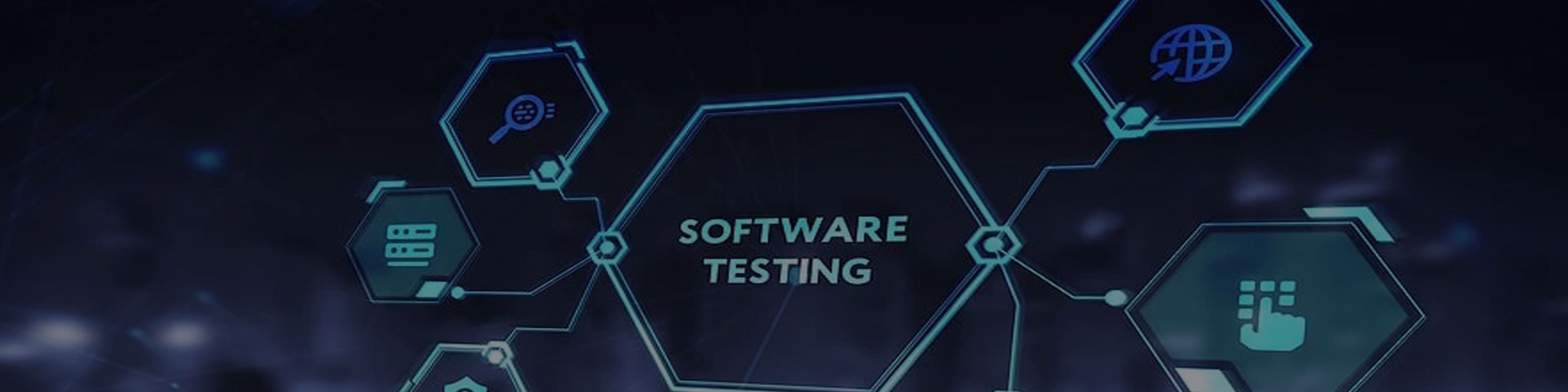 Software Testing